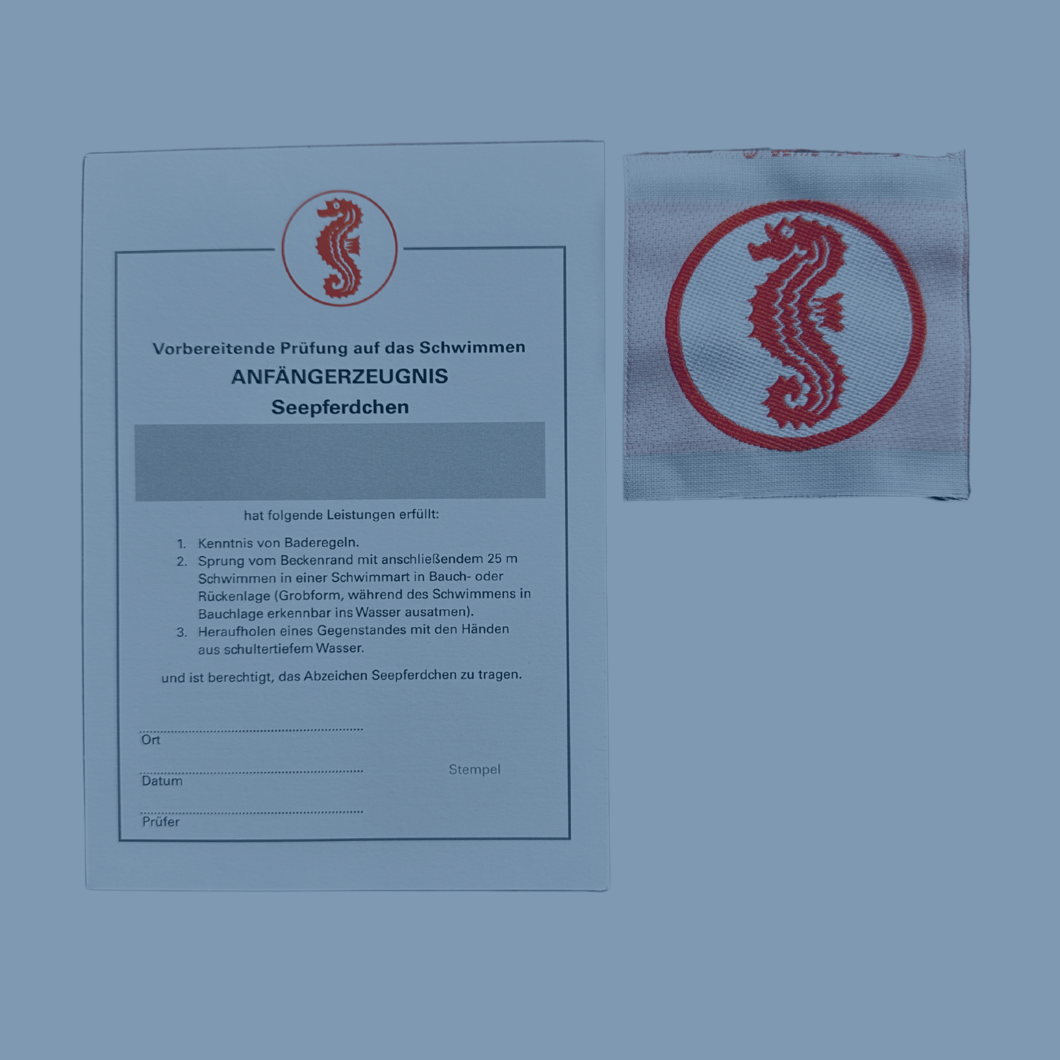 Übersicht Schwimmabzeichen: Seepferdchen-Urkunde mit Stoffabzeichen – offizieller Nachweis für Frühschwimmer bei AquaFit