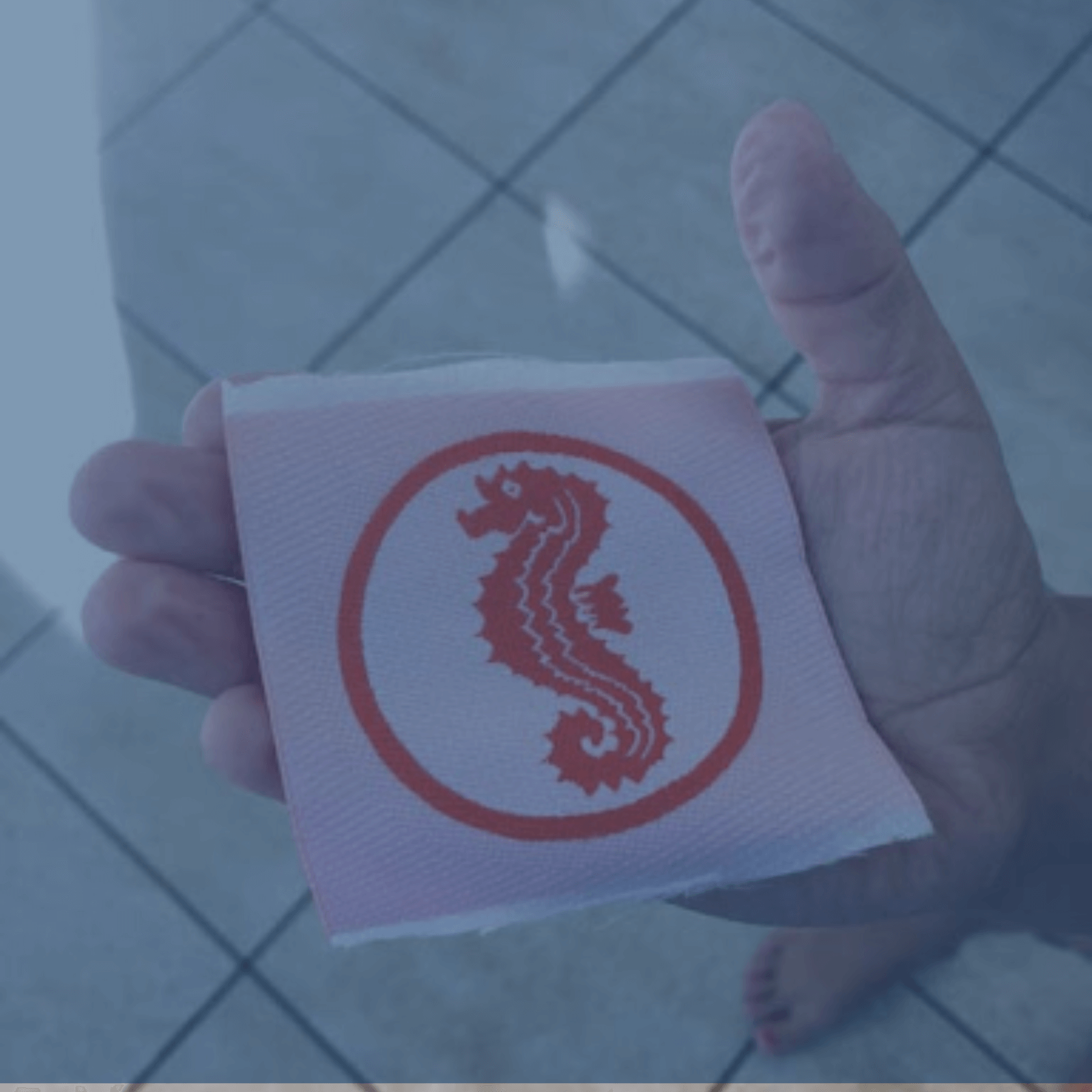 Anfängerkurs AquaFit Schwimmschule | Seepferdchen Abzeichen | Seeräuber Abzeichen | Schwimmkurse