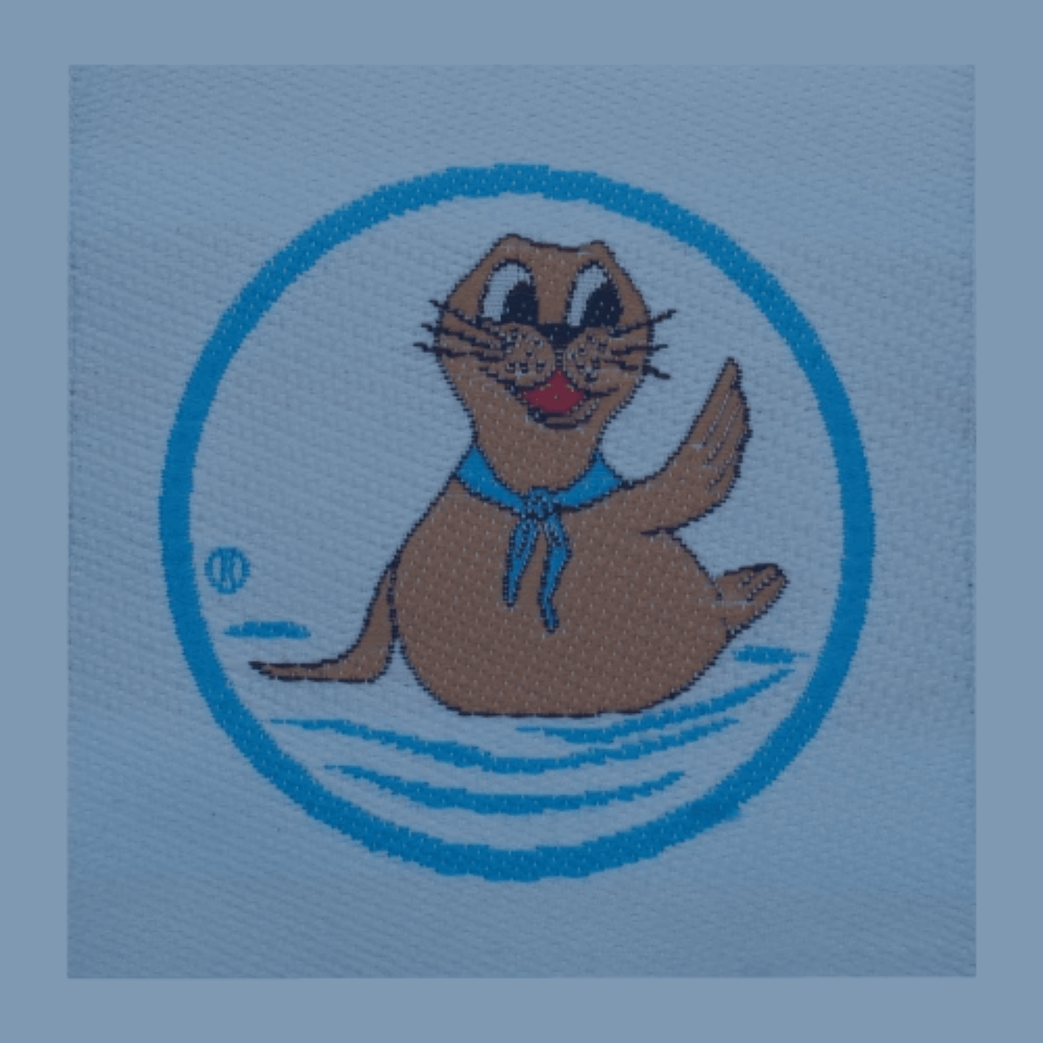 Illustration des Robbe-Abzeichens Bobby – AquaFit Schwimmschule bietet Eltern-Kind-Kurse für die ersten sicheren Schritte im Wasser.